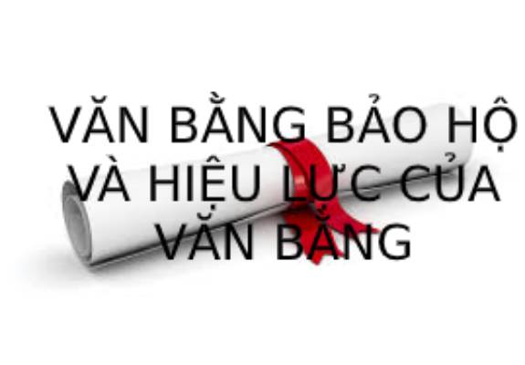 Van Bang Bao Ho La Gi Hieu Luc Cua Van Bang Bao Ho