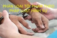 Phan Loai Toi Pham 2305105910