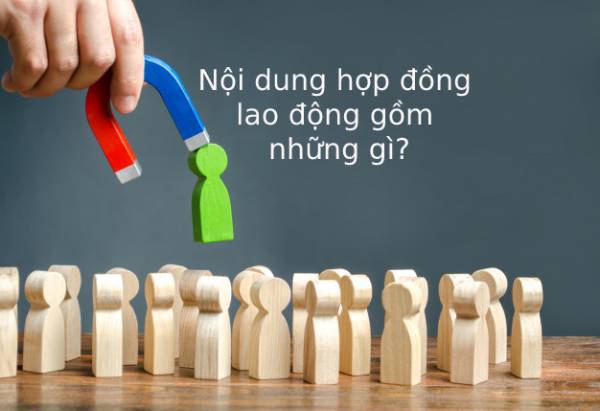 Noi Dung Hop Dong Lao Dong Gom Nhung Gi