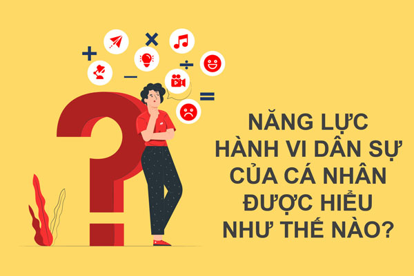 Nang Luc Hanh Vi Dan Su Duoc Hieu Nhu Nao Trong Quy Dinh Phap Luat