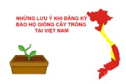 Nhung Luu Y Khi Dang Ky Bao Ho Giong Cay Trong Tai Viet Nam
