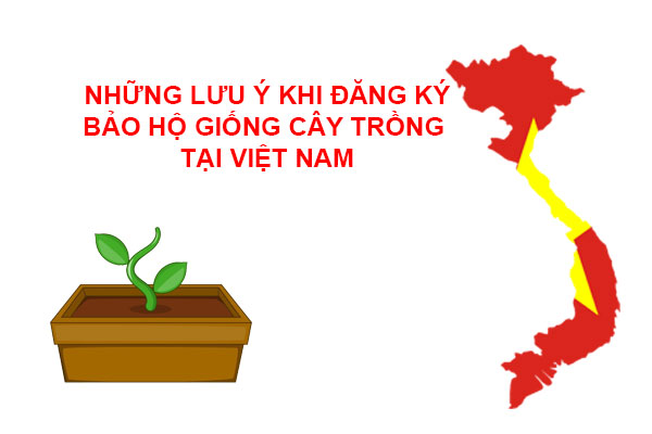 Nhung Luu Y Khi Dang Ky Bao Ho Giong Cay Trong Tai Viet Nam