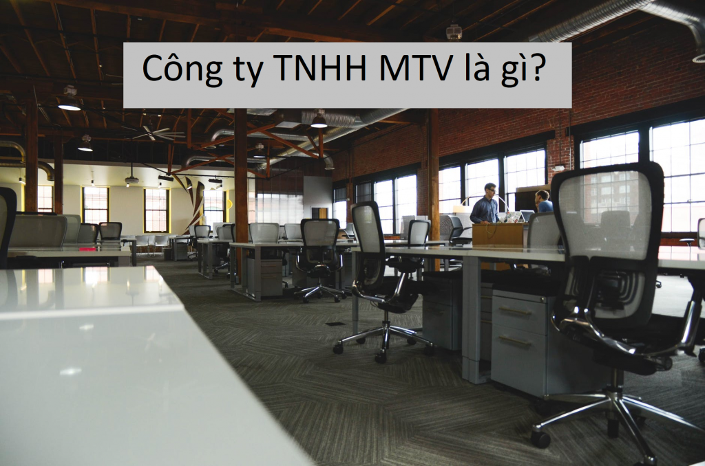 Cong Ty TNHH MTV