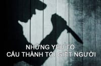 Nhung Yeu To Cau Thanh Toi Giet Nguoi