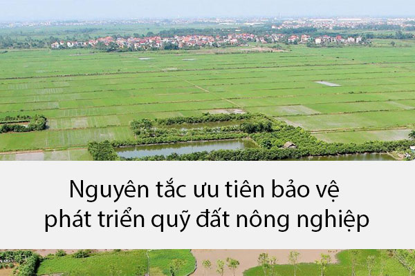 Nguyen Tac Uu Tien Bao Ve Phat Trien Quy Dat Nong Nghiep